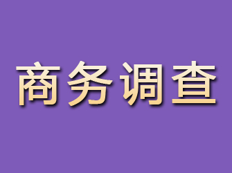 萝岗商务调查